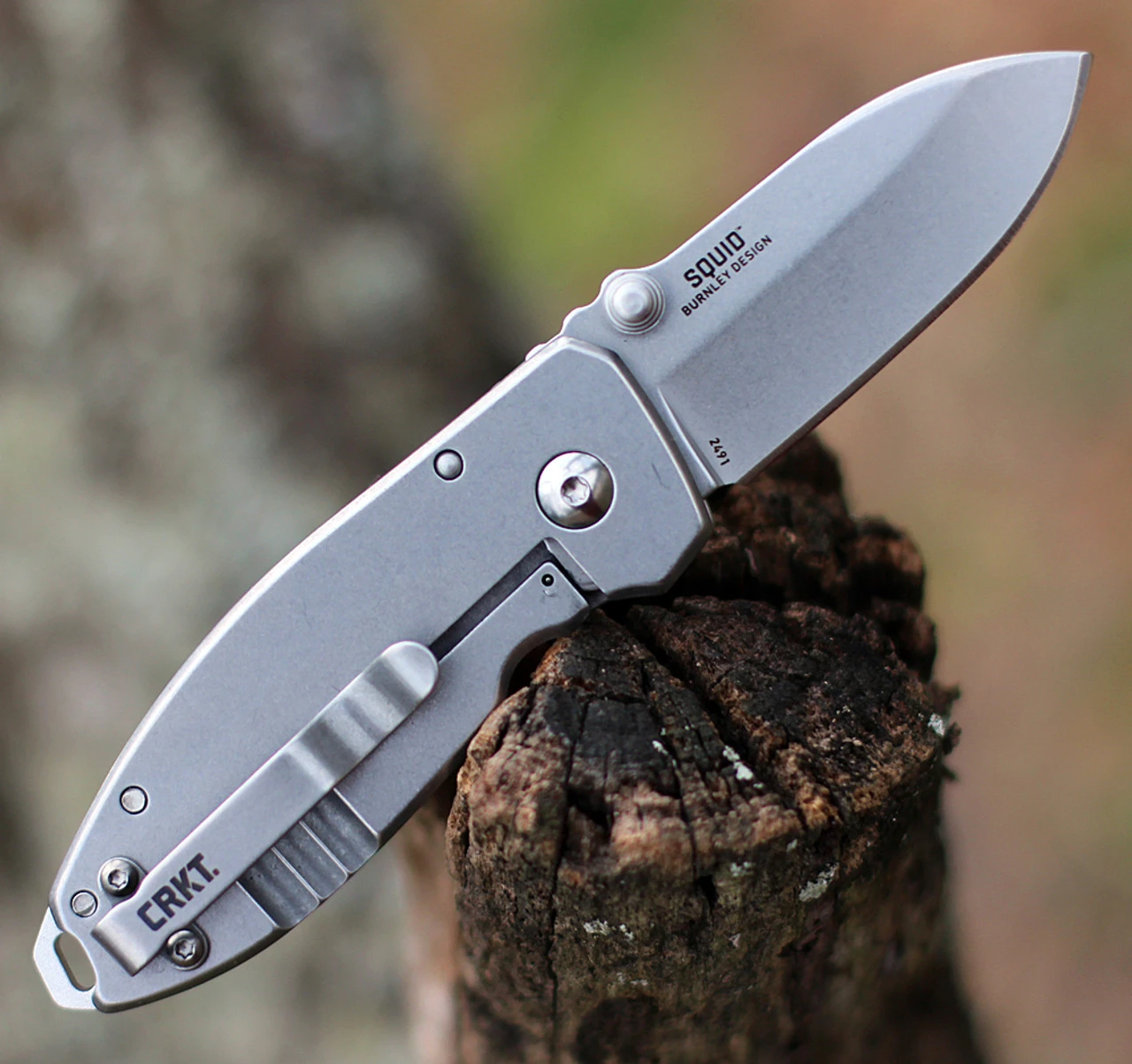 CRKT 2491 Squid Folder, 2.25" Stonewashed 8Cr14MoV Plain Blade, Stainless Steel Handle 2 CRKT 2491 Squid Folder, 2.25" Stonewashed 8Cr14MoV Plain Blade, Stainless Steel Handle - Image 2